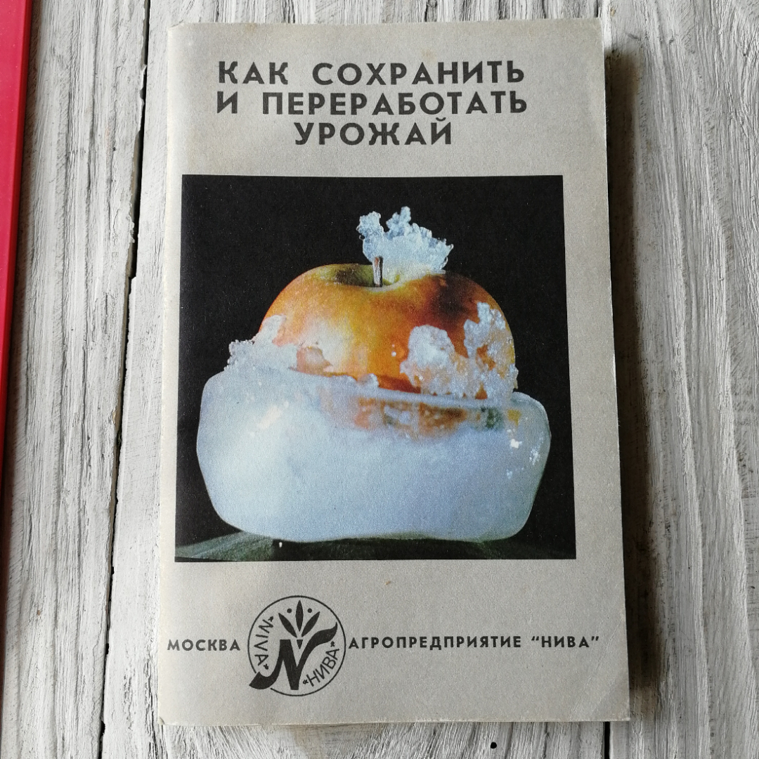 Как сохранить и переработать урожай Москва 1991г.. Картинка 1